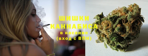 спиды Аркадак