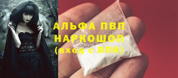 гашик Арсеньев