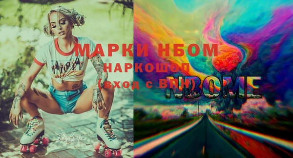 гашик Арсеньев