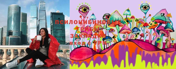 прущие грибы Алзамай