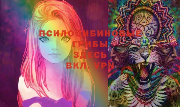 гашик Арсеньев