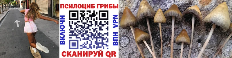 Галлюциногенные грибы MAGIC MUSHROOMS  купить наркотик  ссылка на мегу ССЫЛКА  Хадыженск 