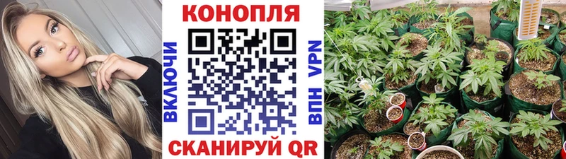 Каннабис Ganja  цены   Хадыженск 